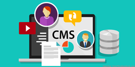 CMS Management | Touch Hall of Fame Systems